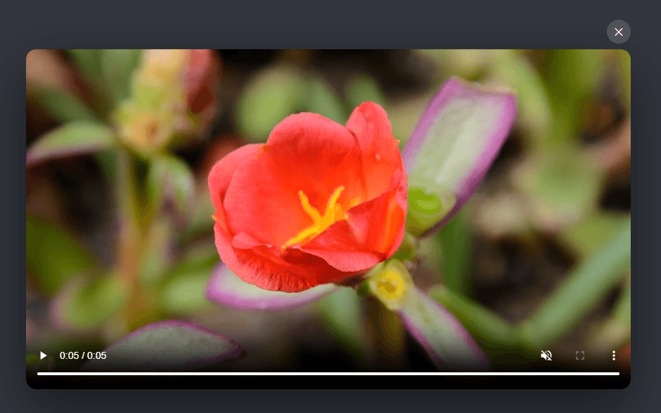 Screenshot of the Video Modal snippet rendered live
