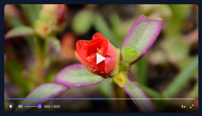Screenshot of the Video Player snippet rendered live